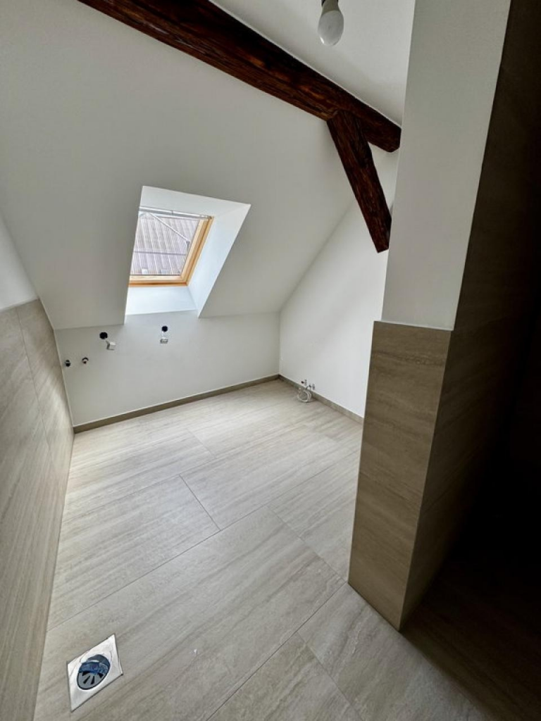untitled design (5)