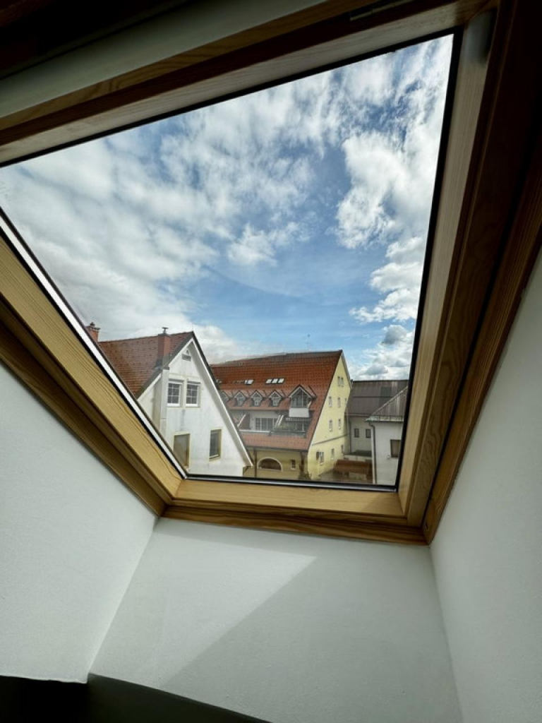 untitled design (6)
